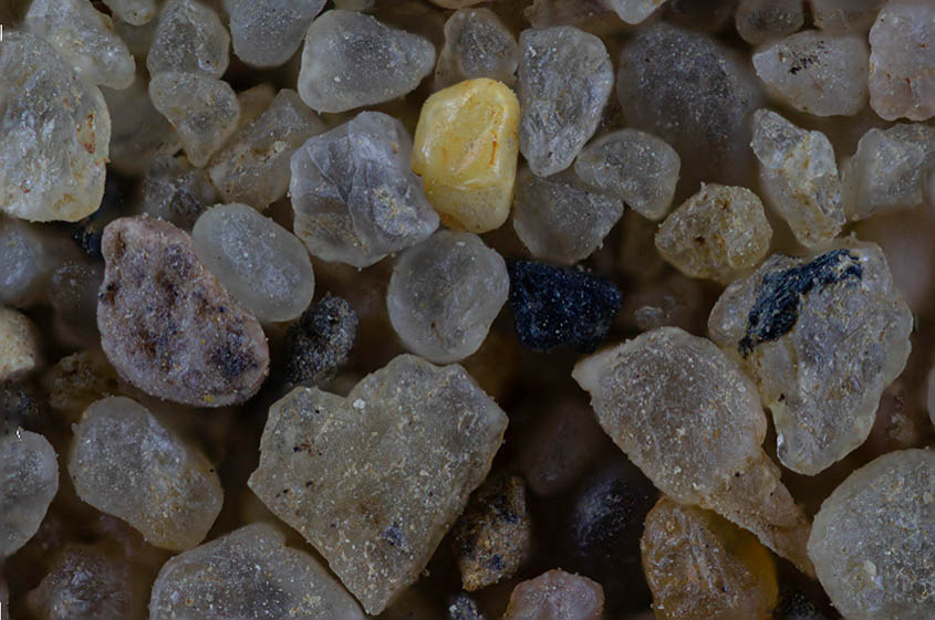 Germany sand close up