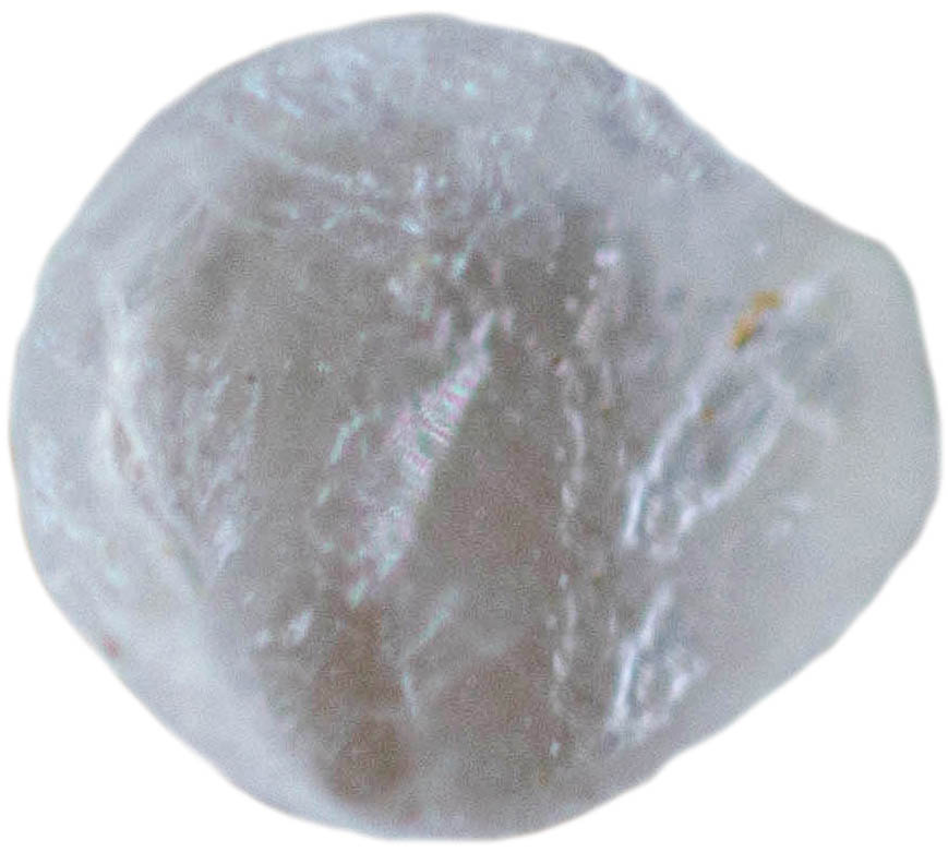 Sand grain for OUAW from Tunisia