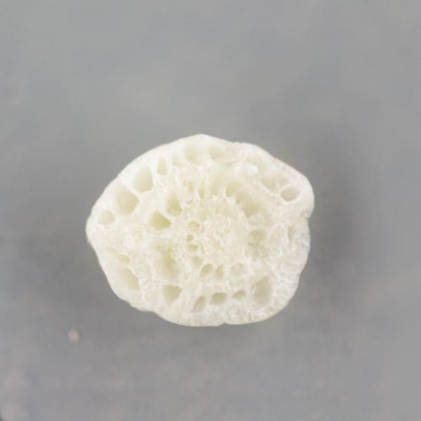A flowerlike grain of sand close up