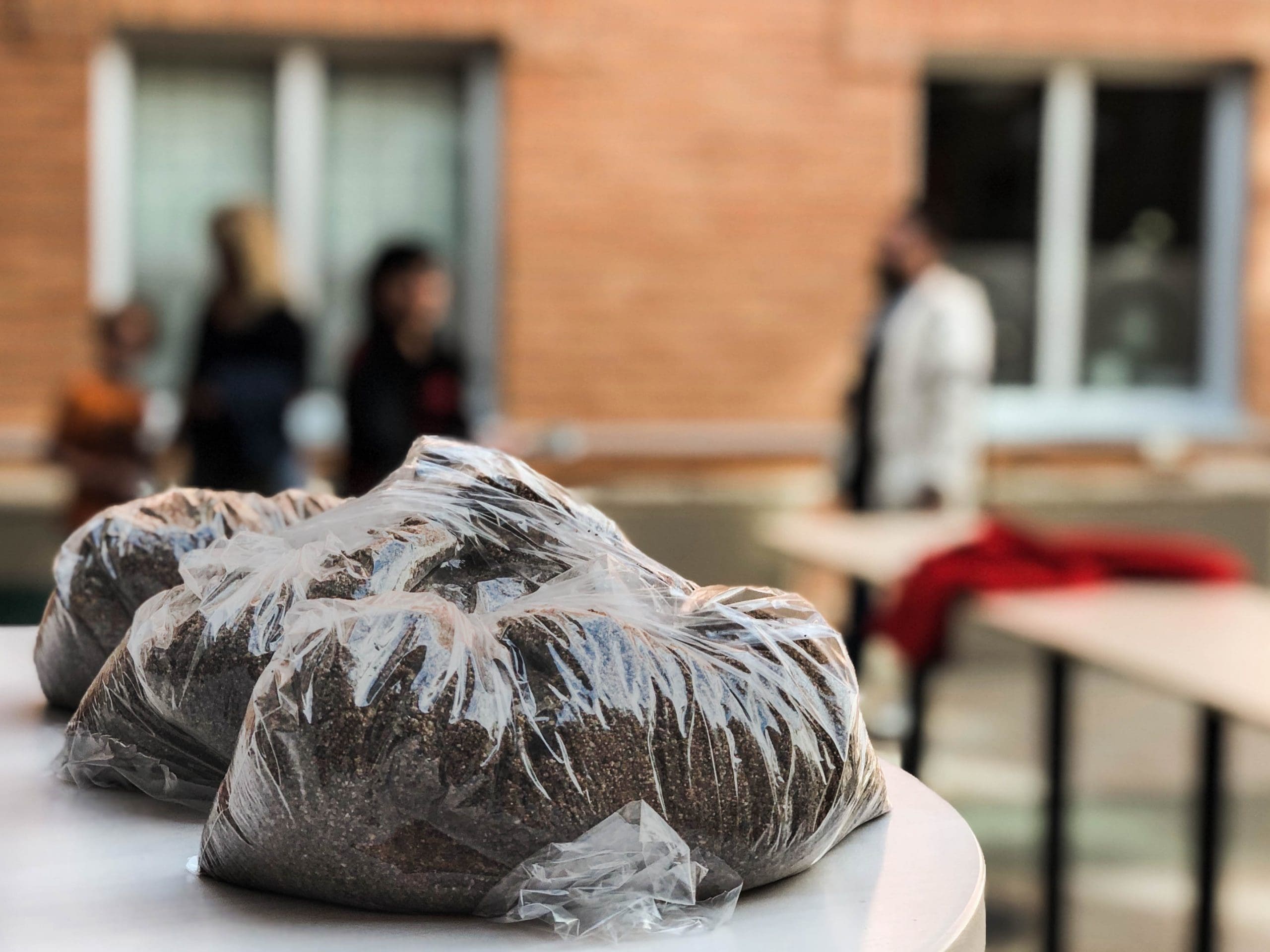 Read more about the article Sandy Giweaways