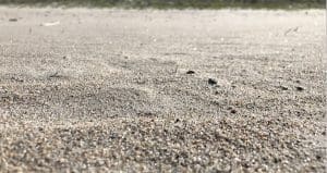 beige beach sand glittering in the sun